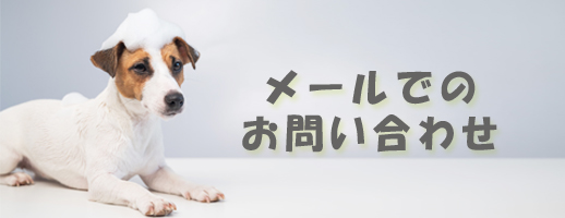 メールでのお問い合わせ